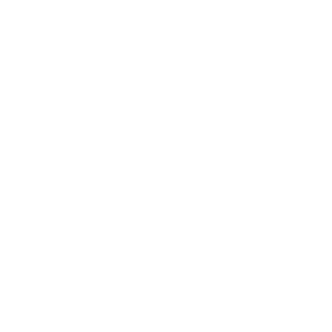 Whatsapp Icon